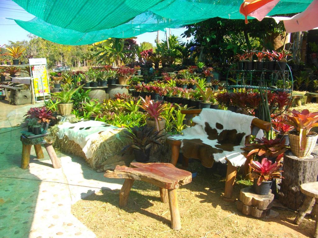 Indian View Hotel Khao Kho Buitenkant foto